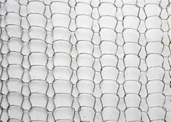 SSはデミスターのためのメッシュ生地4*5mmの網の穴のガス液体AISI 301を編んだ